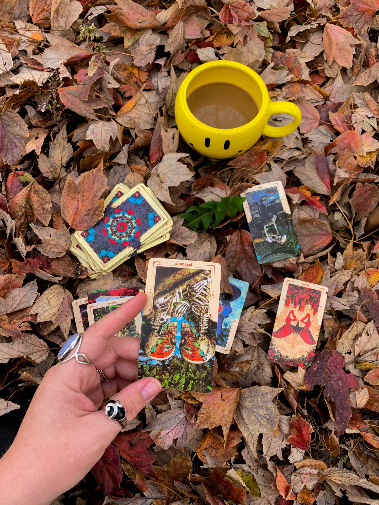 Standard Online Individual Tarot Reading