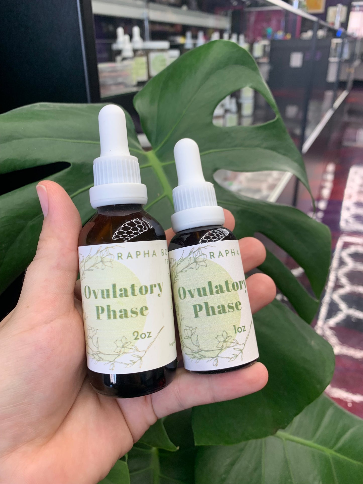 Ovulatory Phase Extract